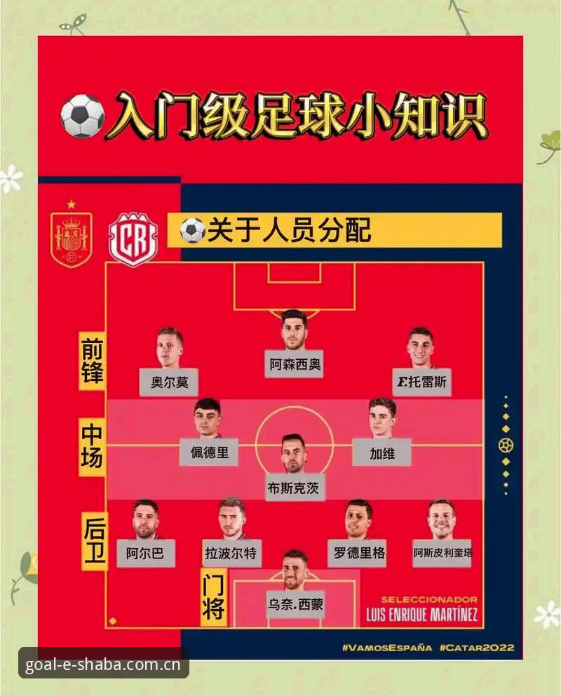 沙巴体育足球比分规则中国官网实用指南——从菜鸟到老手的必备知识